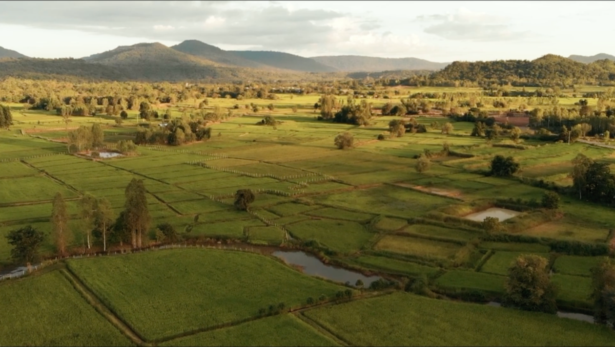 Baan Doi Farm Baan Doi Farm
